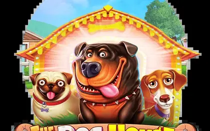 Dog House Megaways slot at Kinghills Casino